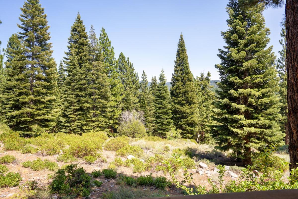 Northstar - Gold Bend Getaway Villa ทรักกี ภายนอก รูปภาพ